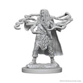 D&D Nolzurs Marvelous Unpainted Miniatures Human Male Sorcerer
