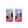 PREORDER Barbie - Mini Barbieland - Movie Doll Assortment (10)