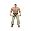 King of Fighters Collectibles: 1/18 Scale 98UM Hero Team Goro Daimon