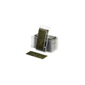 Gamers Grass - Laser Plants - Dumb Cane