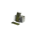 Gamers Grass - Laser Plants - Monstera