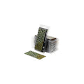 Gamers Grass - Laser Plants - Plantain Lily