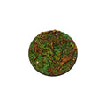 PREORDER Micro Art Studio - Resin Round/Oval Bases - Jungle Bases - Round 100mm (1)