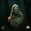 PREORDER Figures - Surm - Tales From The Swamp