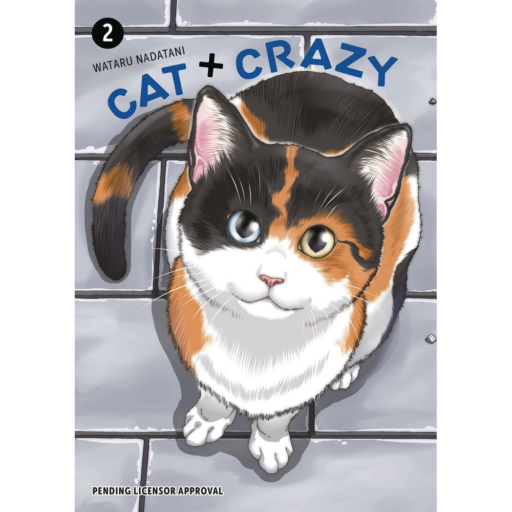 PREORDER Cat + Crazy Volume 2