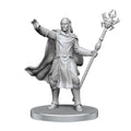 PREORDER D&D Nolzurs Marvelous Miniatures: Drow Mage & Yochlol