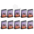 Cubeamajigs 10-Pack - Chaos