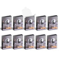 Cubeamajigs 10-Pack - Temple Cats