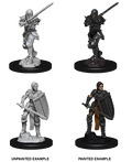 D&D Nolzurs Marvelous Unpainted Miniatures Female Human Fighter