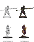 D&D Nolzurs Marvelous Unpainted Miniatures YaunTi Purebloods