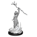 D&D Nolzurs Marvelous Unpainted Miniatures Human Druid Female