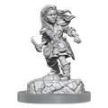 D&D Nolzurs Marvelous Miniatures Halfling Rogue Female