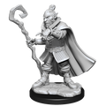 Critical Role Unpainted Miniatures Hobgoblin Wizard and Druid Male
